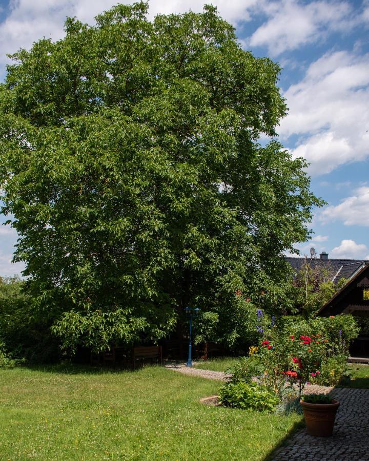 Ferienhaus Ostrauer Hof Bad Schandau Exterior foto